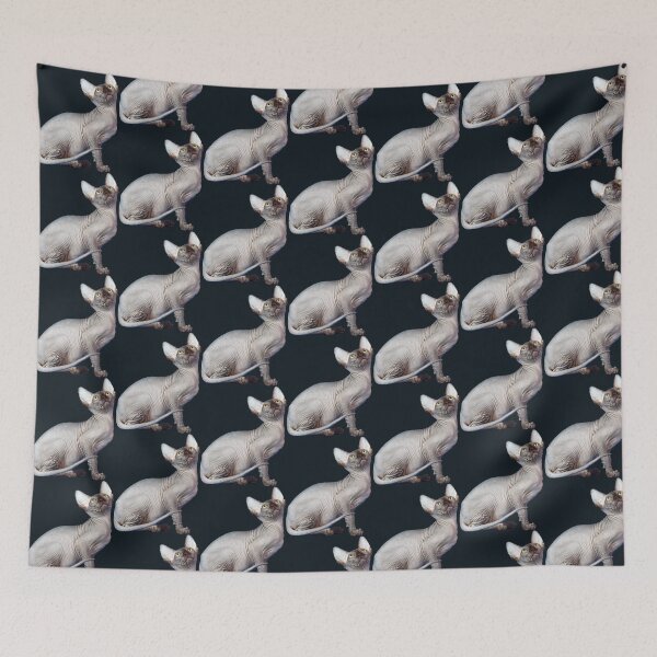 Item preview, bald cat, sphinx,  looking up designed and sold by filon19931.