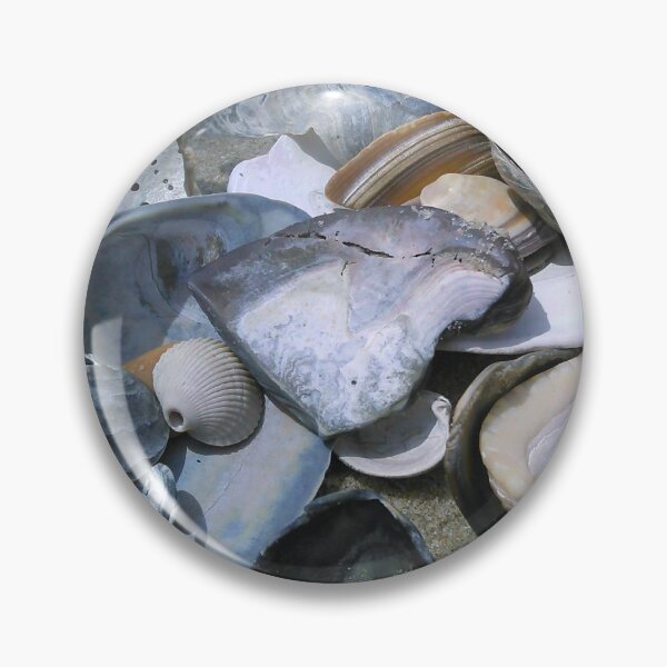 Item preview, Shell treasures designed and sold by memorguson.