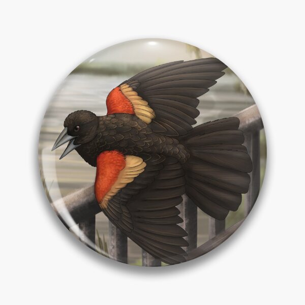 Item preview, Red winged blackbird 2 designed and sold by DragonArtist15.