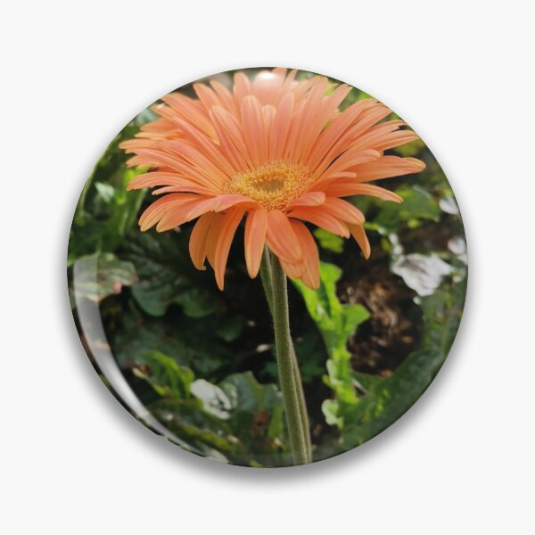 Item preview, Orange Flower Daisy designed and sold by Artworx88.