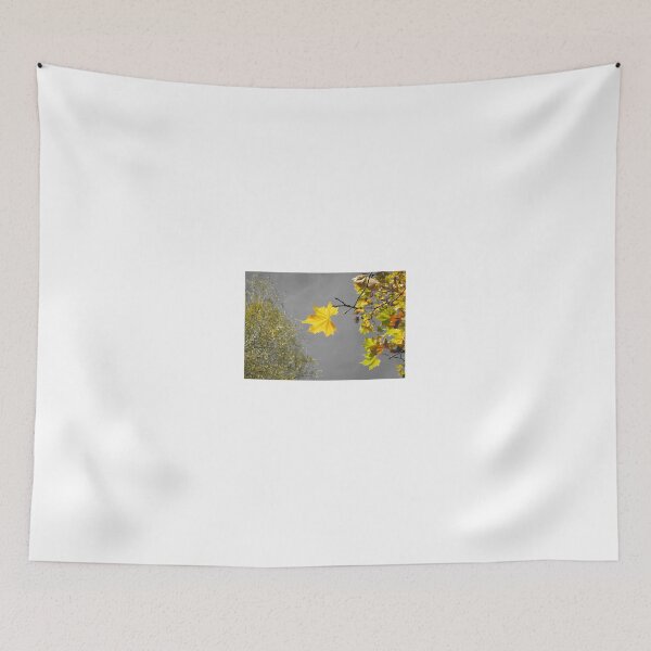 Item preview, Golden designed and sold by Nick  Kenrick Photography.