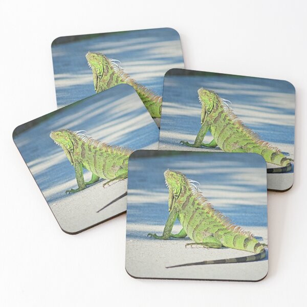 Item preview, Crossing Boundaries designed and sold by Michiale.