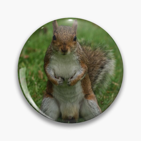 Item preview, Give Me Your Nuts! designed and sold by GingerMan2550.