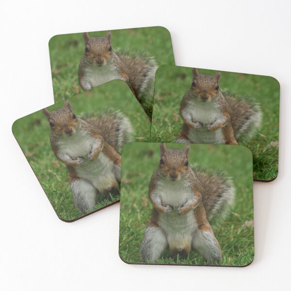 Item preview, Give Me Your Nuts! designed and sold by GingerMan2550.