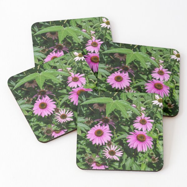 Item preview, Echinacea Garden designed and sold by SRosuphotos.