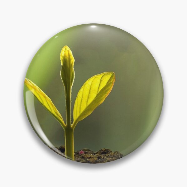 Item preview, Plant a Seed and See What Blossoms - Nature Gifts designed and sold by FreedomUniverse.