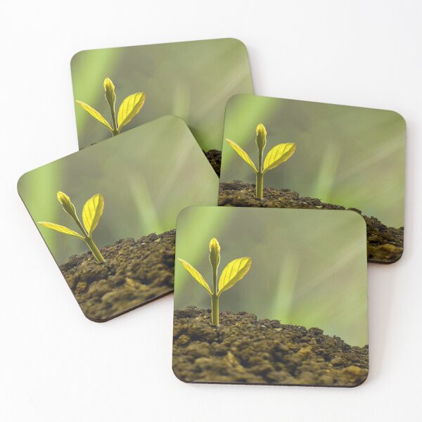 Item preview, Plant a Seed and See What Blossoms - Nature Gifts designed and sold by FreedomUniverse.