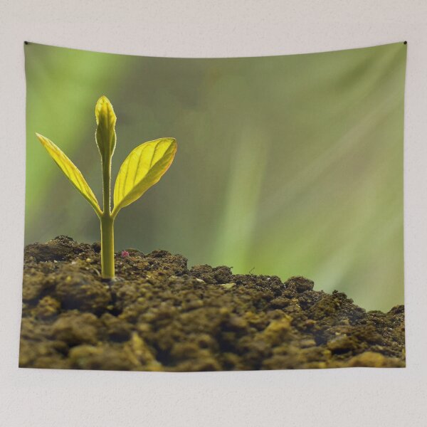 Item preview, Plant a Seed and See What Blossoms - Nature Gifts designed and sold by FreedomUniverse.