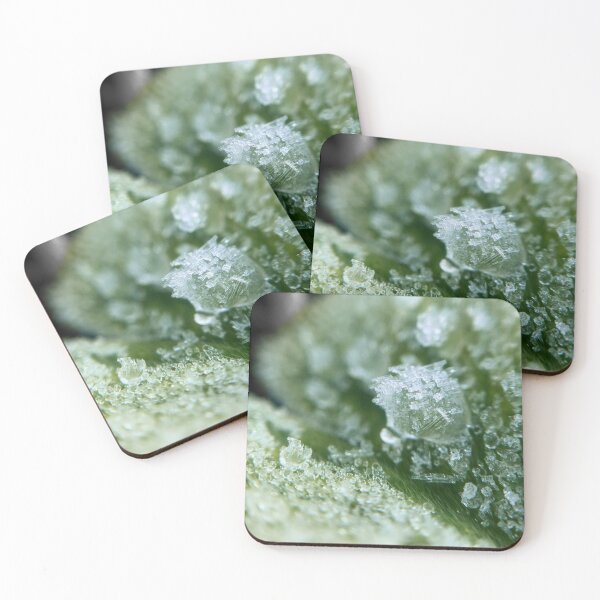 Item preview, Touch of Frost designed and sold by MyMacro_Photography (MyMacro).