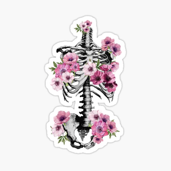 Artikel-Vorschau von Botanische Anatomie, Brustkorb, Becken, rosa Anemonen-Blumenskelett, designt und verkauft von Collagedream.