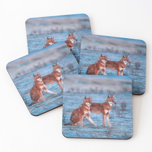 Item preview, Red fox-amazing picture designed and sold by Mekrez Ethio.