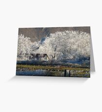 STARLIT BY NATURE Greeting Card