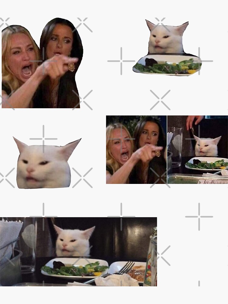 Salad Cat meme 3 Sticker, Smudge the Cat, Woman Yelling at Cat, cat meme  face 