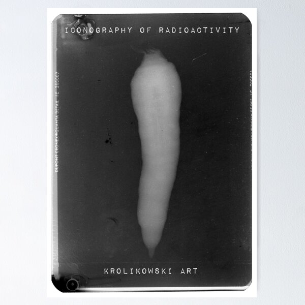 Item preview, Carrot (from "Iconography of Radioactivity" series) designed and sold by Krolikowski Art.