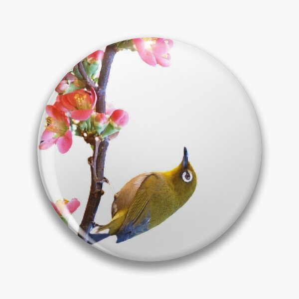 Item preview, There are light-colored horizontal spots on the top of the head; the mouth and feet are reddish red. It looks like a woodpecker from a distance designed and sold by zenger2021.