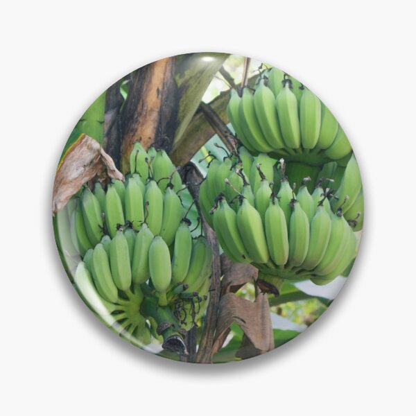 Item preview, Banana Tree - Phuket, Thailand designed and sold by maeroks.