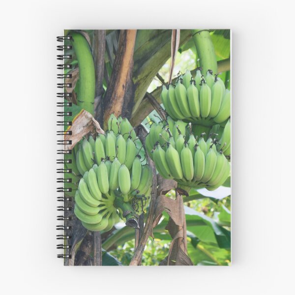 Item preview, Banana Tree - Phuket, Thailand designed and sold by maeroks.