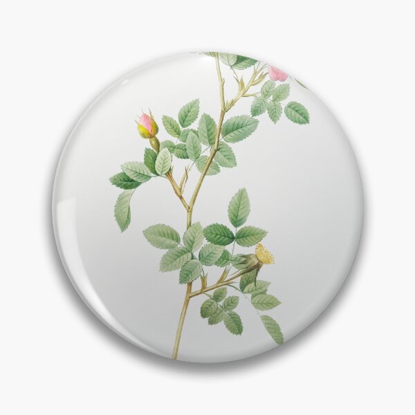 Item preview, Les Roses by Pierre-Joseph Redouté designed and sold by EsotericBotanic.