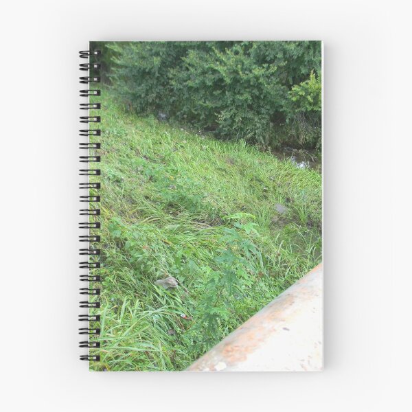 Item preview, From the Bridge, Path of Flooding designed and sold by Navigator.