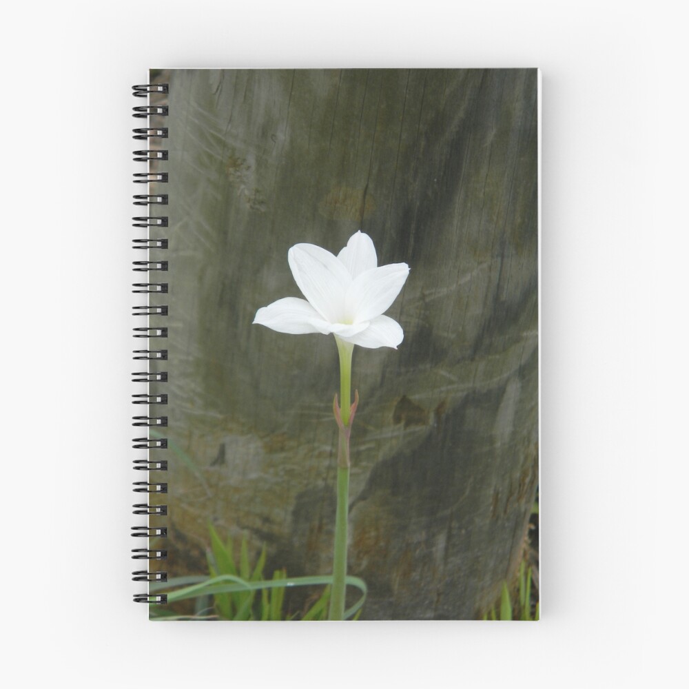 Item preview, Spiral Notebook designed and sold by Navigator.