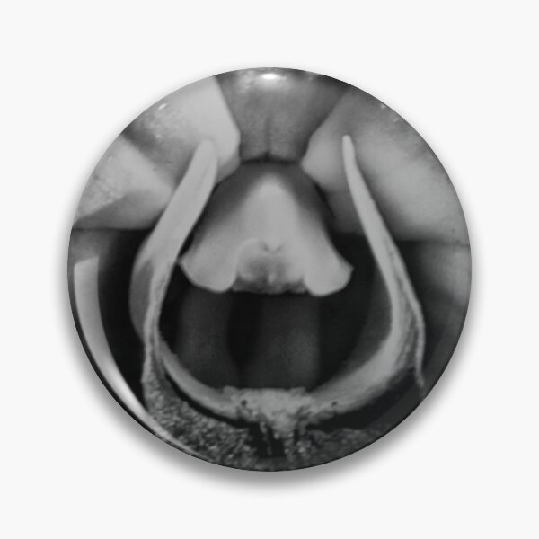 Artikelvorschau, Black & White Orchid entworfen und verkauft von Stephen Orsillo.