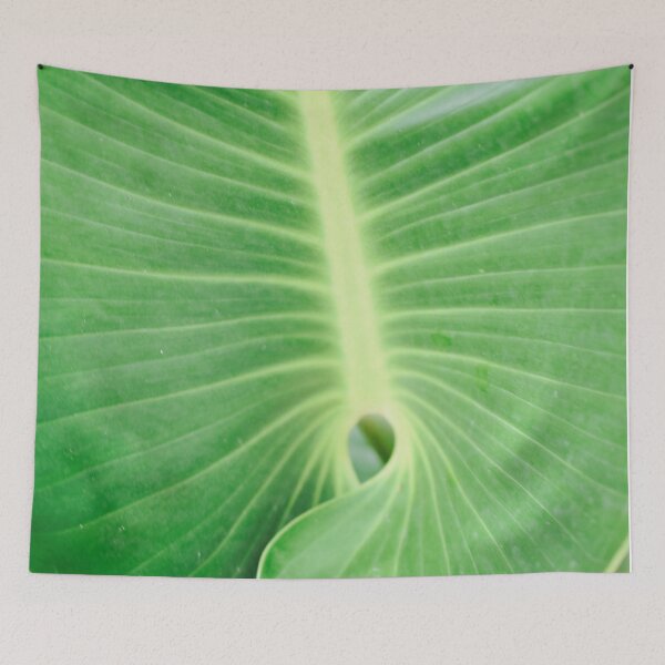 Item preview, Palm CR designed and sold by umeimages.