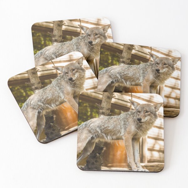 Item preview, Coyote designed and sold by Tim Shoen.