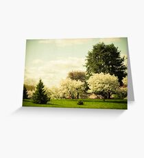 Once Upon a Time Greeting Card