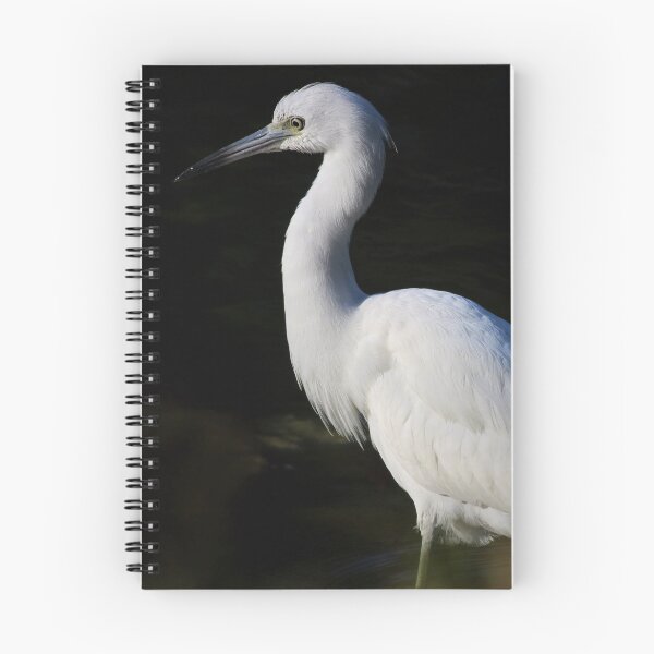 Item preview, Full of Questions designed and sold by Michiale.