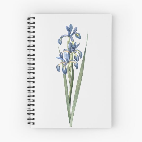 Item preview, blue iris flower designed and sold by zaher97.