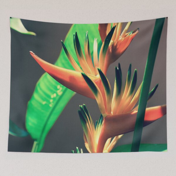 Item preview, Costa Rican Beauty designed and sold by umeimages.