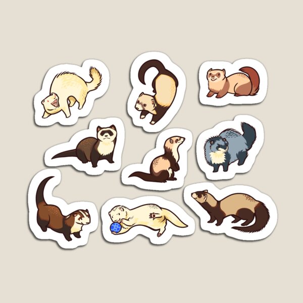 cat snakes in blue Magnet