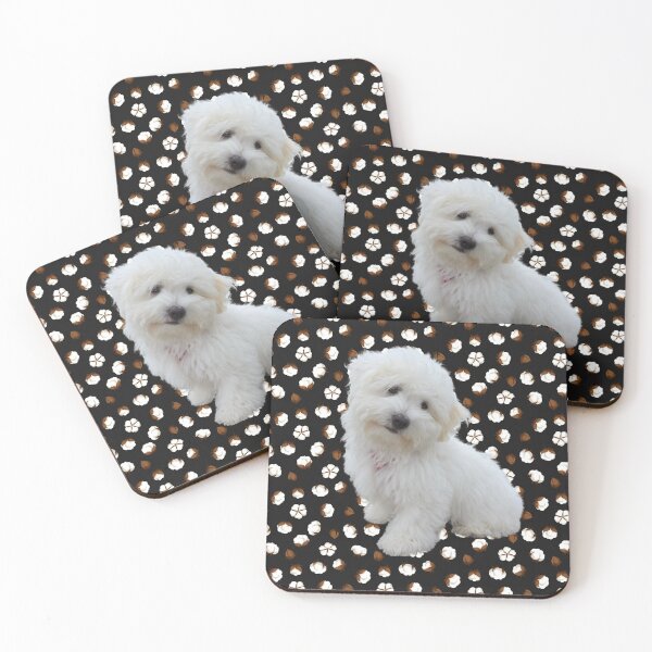 Item preview, Coton de Tulear Sitting on Cotton Balls designed and sold by CactusFamily.