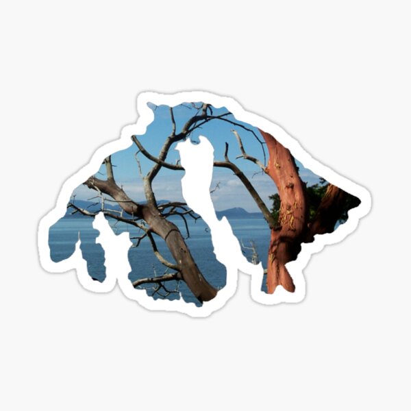 Item preview, Orcas Island - Madrona designed and sold by PeaceLoveAndJoy.