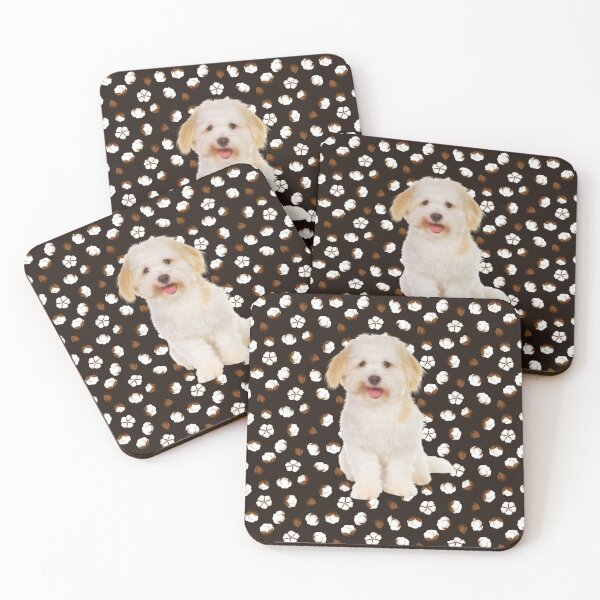 Item preview, Copy of Coton de Tulear Sitting on Cotton Balls (brown background) designed and sold by CactusFamily.
