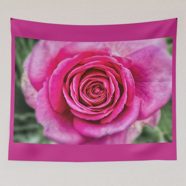 Item preview, Hot Pink Rose Closeup designed and sold by BonniePhantasm.