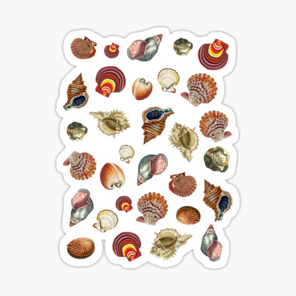 Item preview, Vintage Seashells  designed and sold by Dog Hair and Healing.