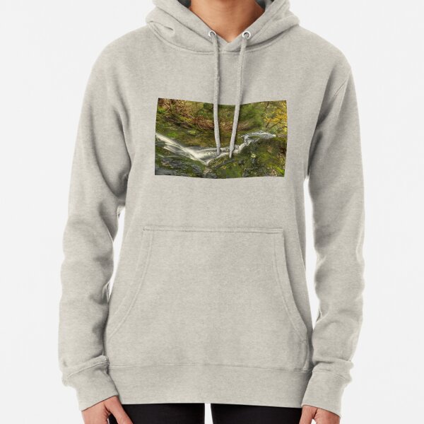 Ballroom Forest and Plateau Creek Pullover Hoodie