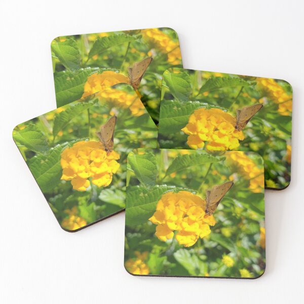 Item preview, Butterfly enjoying life designed and sold by Rudith.