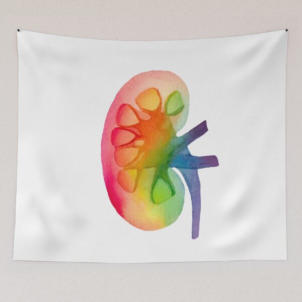 Item preview, Rainbow Kidney (white) designed and sold by Alane Fideler.