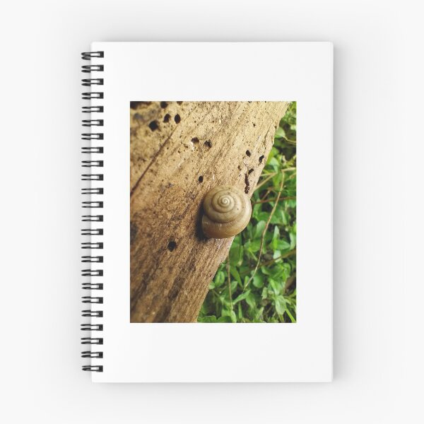 Item preview, A Snail for Thought designed and sold by Rudith.