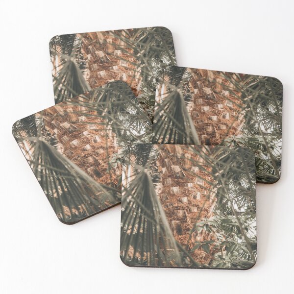 Item preview, Tree, trunk, palm, branches designed and sold by TurboCrazy.