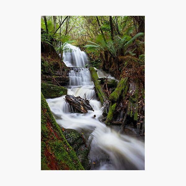 Artikelvorschau, Myrtle Valley Falls - Mt Wellington -Tasmania entworfen und verkauft von Anthony Davey.
