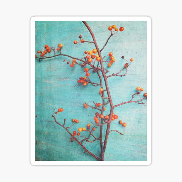 She Hung Her Dreams on Branches Sticker