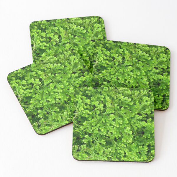Item preview, Lush Green Leafy Plants designed and sold by softbluehum.