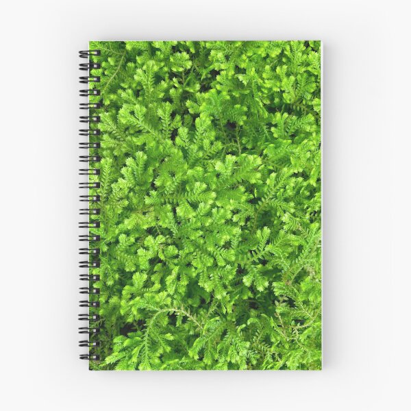 Item preview, Lush Green Leafy Plants designed and sold by softbluehum.