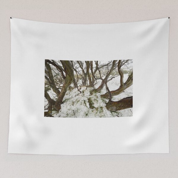 Item preview, Snowgum near Mount Cope designed and sold by Kevin McGennan.