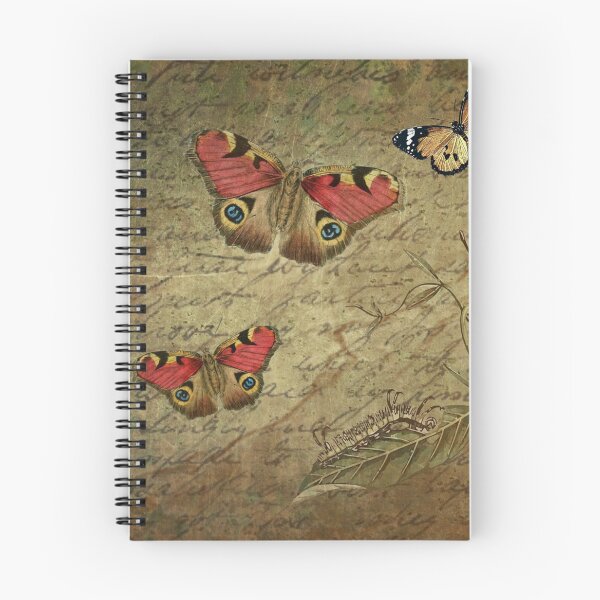 Item preview, Parchment designed and sold by Jujuzinha21.