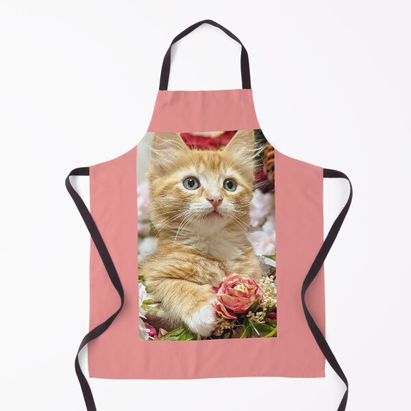 Item preview, Ragdoll Mainecoon kitten designed and sold by Fluffycat2020.