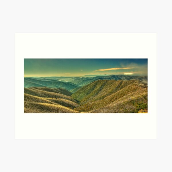Wongungarra headwaters Art Print